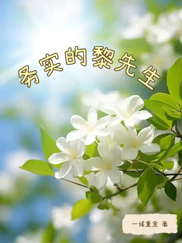 务实的黎先生
